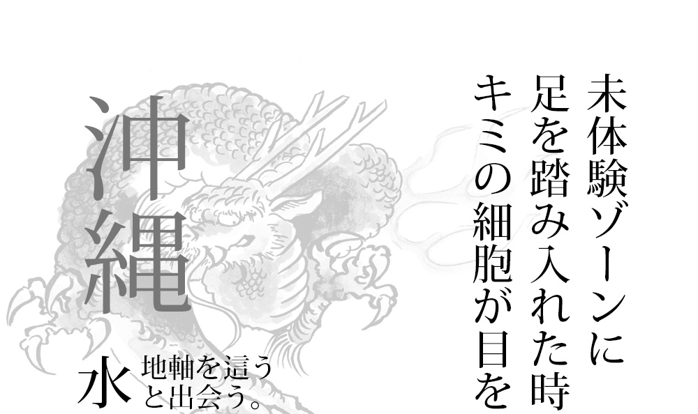 ディスカバリー